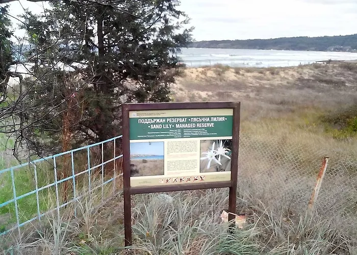 Serena 3* Созополь